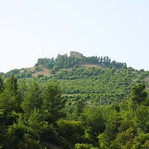 Day 6 - A Step Back in Time: Exploring Jerash and Ajloun